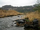 2007-05-01 044.JPG